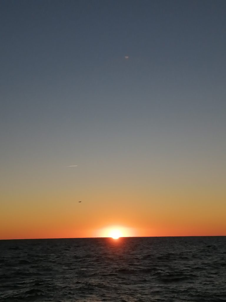 IMG_20231122_071704